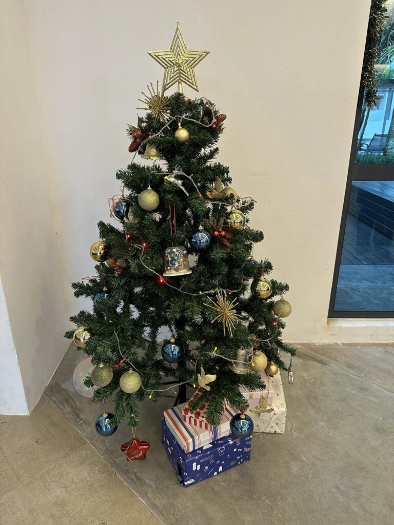 CDC Christmas 2024