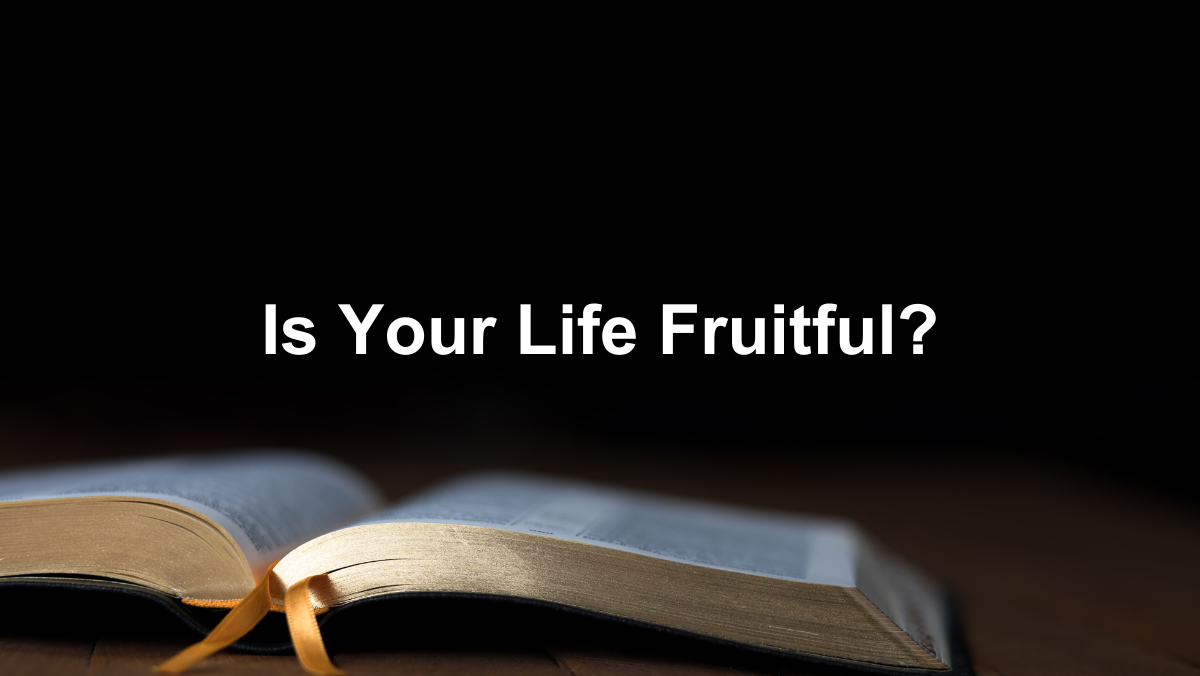 Is Your Life Fruitful?