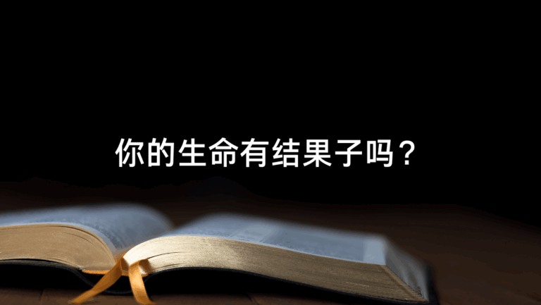 你的生命有结果子吗？
